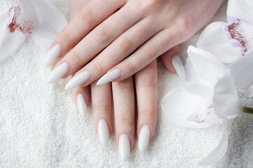 Naklejka premium Hands of a young woman with white manicure on nails