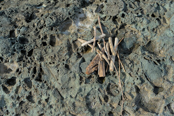 Peeled sticks thrown from the sea, stacked on stones of volcanic origin