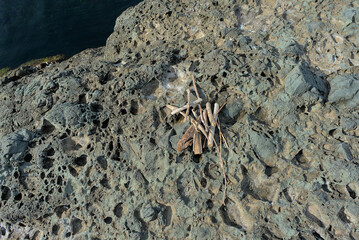 Peeled sticks thrown from the sea, stacked on stones of volcanic origin