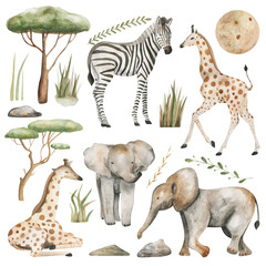 Safari animals watercolor illustration