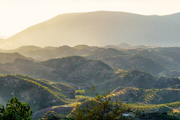 Sunny fields of Andalusia at sunset in the mountains of Grazalema, Cadiz, Spain. - obrazy, fototapety, plakaty