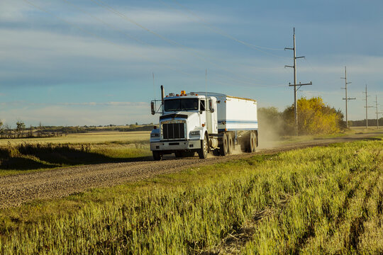 A grain truck traveling down a gravel road to get another load from a canola harvest; Legal, Alberta, Canada