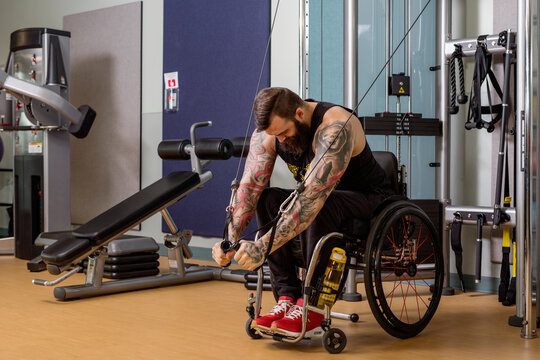A paraplegic man working out using a crossover pulley weight lifting apparatus in a fitness facility; Sherwood Park, Alberta, Canada