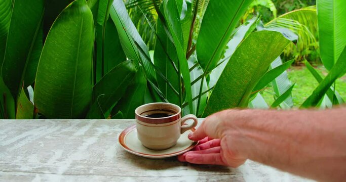 Waiter hand serving a cup of black coffee luwak on countertop. Man bringing coffeinated chocolate drink. Outdoor beverage espresso doppio americano. Wooden table, green lush tropical forest or garden.
