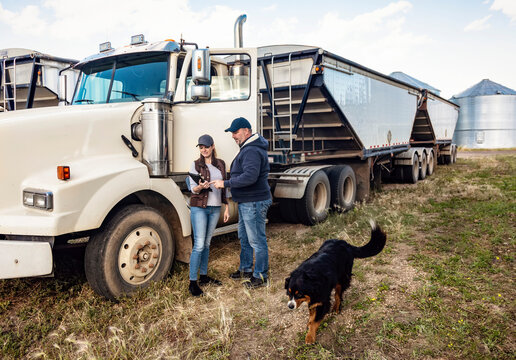 Mature couple working on their farm, standing next to a diesel transport truck and consulting their tablet computer while their pet dog walks by; Alcomdale, Alberta, Canada