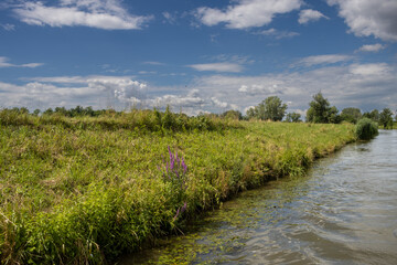 Bata Canal from a boat, Czechia / Slovakia