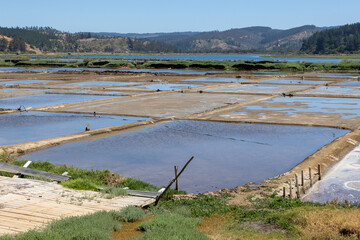 Salinas de Cáhuil and Laguna Cáhuil (Pichilemu) - Chile