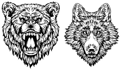 Head of bear, dog, wolf. Abstract character illustration. Graphic logo designs template for emblem. Image of portrait.