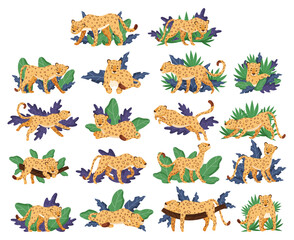 Leopard with Spotted Coat in Tropical Exotic Foliage Big Vector Set © Happypictures
