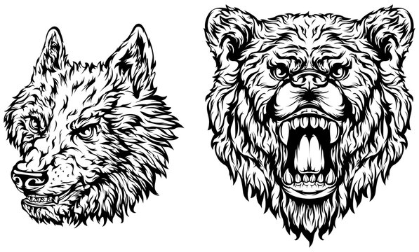 Head of bear, dog, wolf. Abstract character illustration. Graphic logo designs template for emblem. Image of portrait.