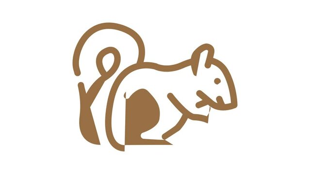 squirrel wild animal color icon animation