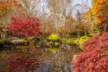 Autumn trees reflected in pond