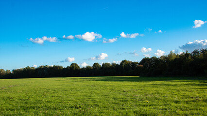zielona polana na tle błękitnego nieba  © Sylwester
