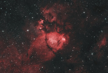 Nebulosa Testa di Pesce