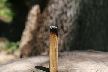 Smoldering palo santo stick on wooden stump outdoors