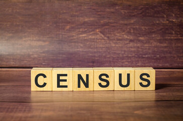 CENSUS word made with building blocks and brown background