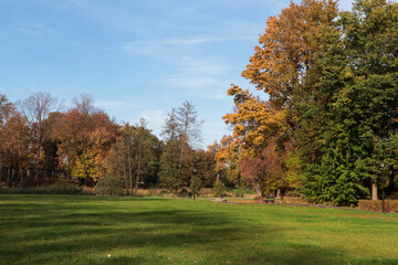 Picturesque view of park with beautiful trees and green grass on sunny day. Autumn season