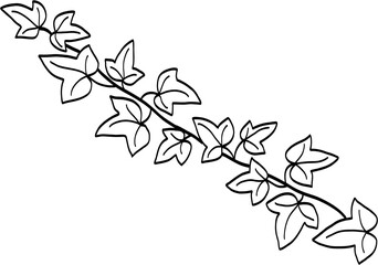 Simplicity ivy freehand drawing	