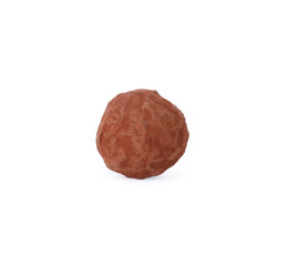 One tasty chocolate candy isolated on white