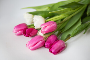Beautiful spring bouquet with pink and white tulips on a white background. Postcard for the holidays.