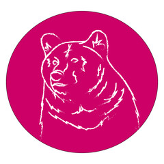 silhouette of a bear