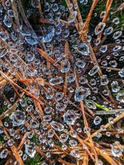 Dew on ground