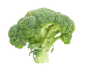 Fresh two pieces broccoli isolated on white background.fresh green vegetables.Cauliflower.Big set.Different view