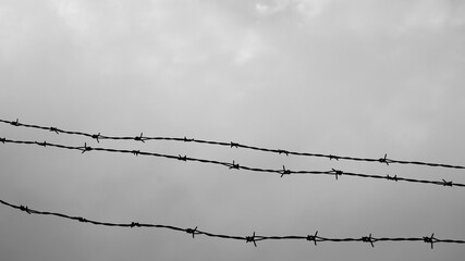 barbed metal wire on a gray sky background close-up view from below