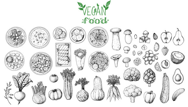 Vegan food sketch elements. Hand drawn vector illustration. Menu design template. Vegan food sketch. Design template. Product design. Great for packaging, recipe book, menu. Vegetarian food sketch set