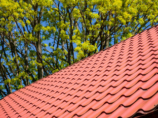 Red clay ceramic tiled roof. Blue sky. Green tree. Close-up.
