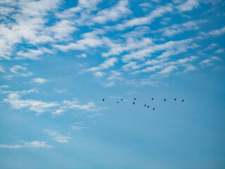 Beautiful nature background. Blue sky with white clouds. Sunny day.