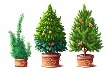 christmas tree isolated on white