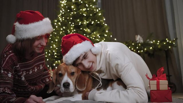 Teenagers lie on the ground and take turns hugging their best friend, a beagle dog. The lights of the Christmas tree shine in the background.