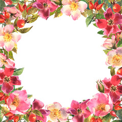 Rosehip Frame. Flowers, leaves and fruits of wild roses, watercolor illustration isolated on white background.