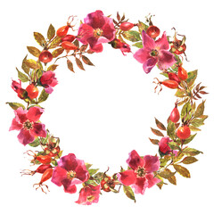 Watercolor rose hip wreath. Flowers, leaves and fruits of wild roses. Watercolor illustration isolated on white background.