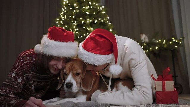 Teenagers hug their dog together, emotional scene. The lights of the Christmas tree shine in the background.