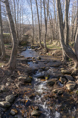 A splendid day to enjoy nature, trees and a river with stones on a winter day in Somosierra. Spain