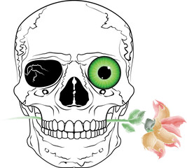 skull drawing with one eye alive