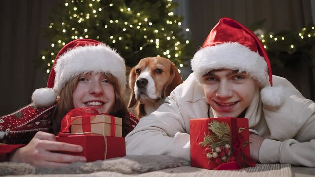 Teenagers are lying on the ground with their heads on boxes with New Year's gifts. Their Beagle dog is sitting next to them. The lights of the Christmas tree shine in the background