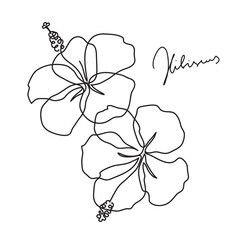 Beautiful hibiscus flower pattern. Line art concept design. Vector illustration © prezent