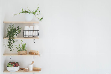 Bathroom wooden shelves eco friendly body care tools with potted plant neatly arrangement storage