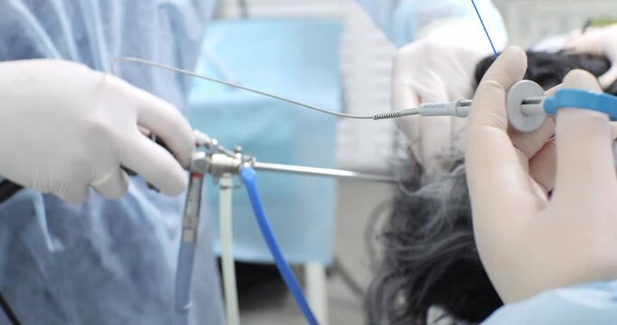 The doctor operates the endoscopic equipment to examine the dog's urethra and bladder. The assistant holds in his hands endoscopic biopsy forceps such as branches.