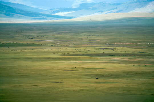 A horseman trains for 'Nadam,' the Mongolian national sports day.