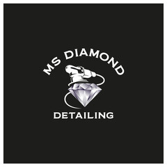 Diamond Detailing Logo inspiration, polisher, automotive