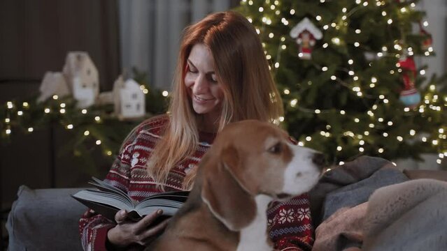 A lovely woman is reading a book, enjoying the company of her dog and the cozy atmosphere of the New Year holidays.