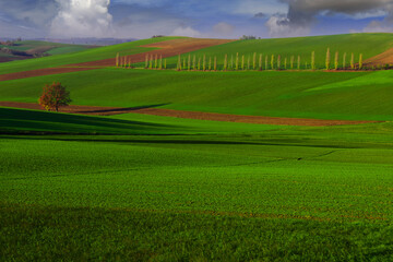 Monferrato - San Salvatore