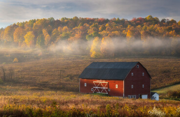 A rural barn in peak autumn in West Virginia © Matt