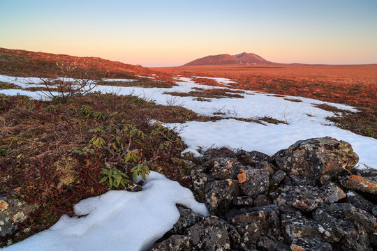 Arctic landscape. View of the spring tundra at dawn. Polar region. In the distance is a mountain illuminated by the midnight sun. Melting snow in the tundra in the Arctic in early June. Wild nature.