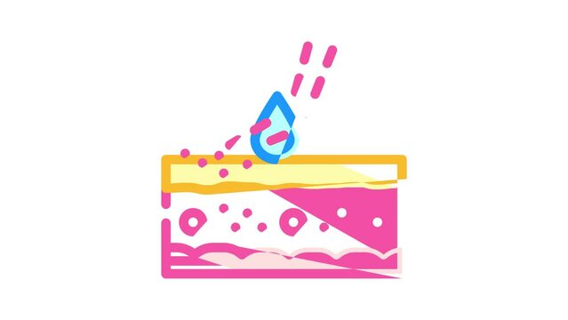 phytophotodermatitis skin problem color icon animation