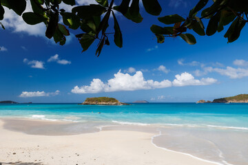 Beach with palm trees on St John in Virgin Islands